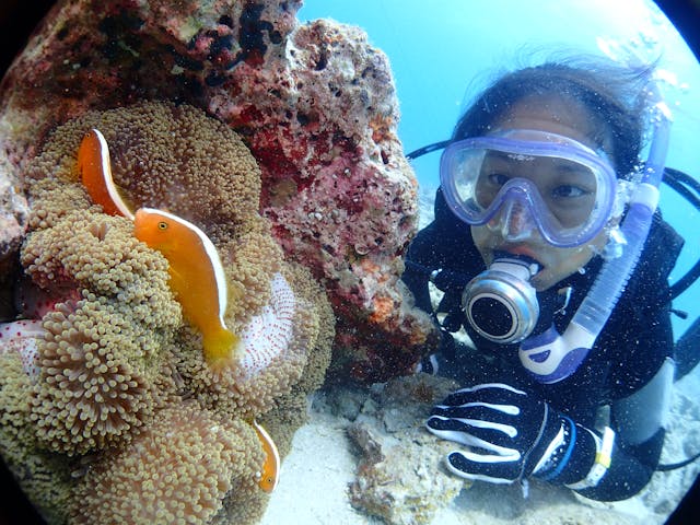 ネイティブシー奄美