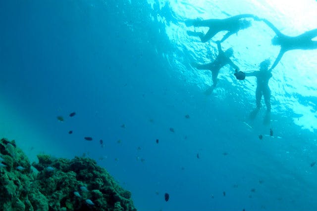【奄美大島・シュノーケリング・ビーチ】サンゴや生物を観察。ファミリーにも好評！