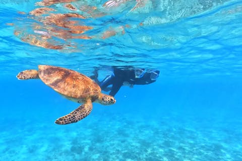 【ウミガメと泳ぐビーチシュノーケル】撮影した写真はその場でプレゼント！持ち物は水着とビーチサンダルだけ！（シャワー・更衣室・ドライヤー・タオル完備）