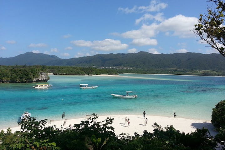 石垣島 貸切 特別コース 観光タクシー 植物好きにおすすめ 亜熱帯植物を満喫するフラワーコース アソビュー