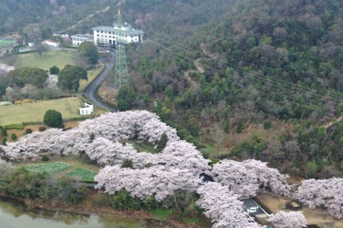 【兵庫・播磨・熱気球搭乗体験】思い出作りに最適！45分のプライベートフライト