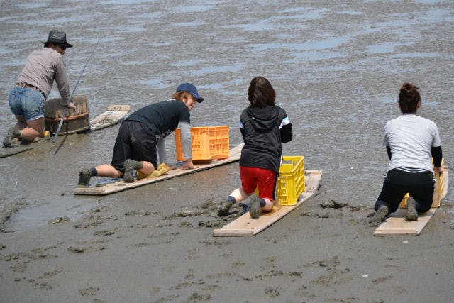 佐賀 釣り 有明の干潟でムツゴロウを釣ろう むつかけ体験プラン アソビュー