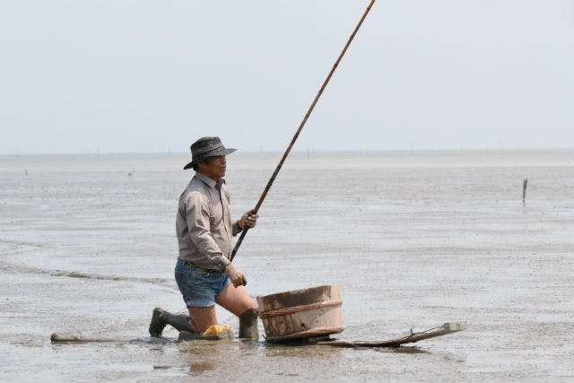佐賀 釣り 有明の干潟でムツゴロウを釣ろう むつかけ体験プラン アソビュー