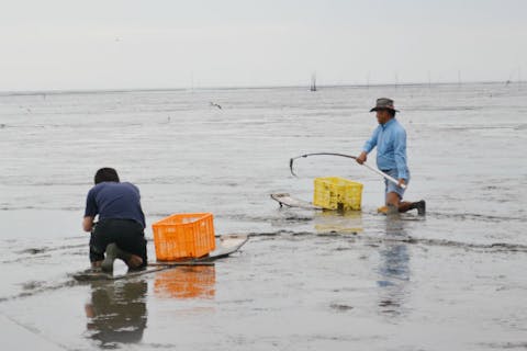 佐賀 釣り 有明海のエイリアンを釣ろう すぼかき体験プラン アソビュー