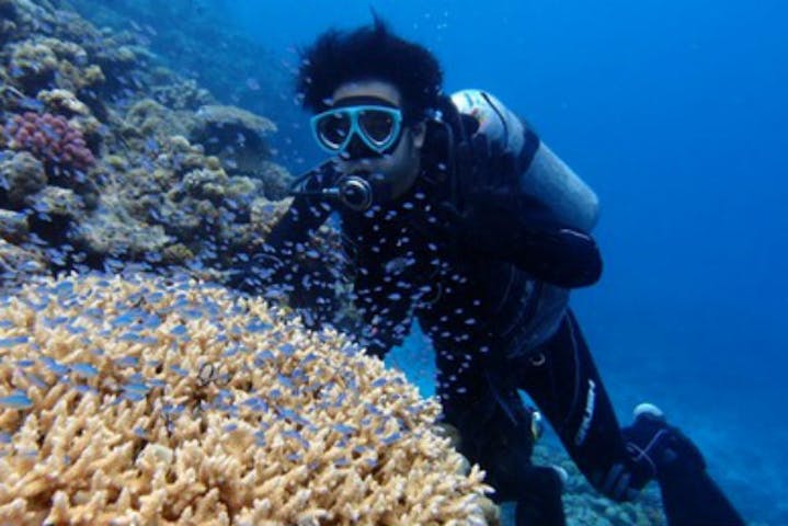 ダイブブリーズ