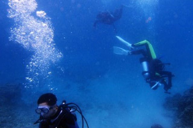 【沖縄北部・体験ダイビング】南国らしさ満点！水納島・瀬底島で潜れる、2ダイブプラン