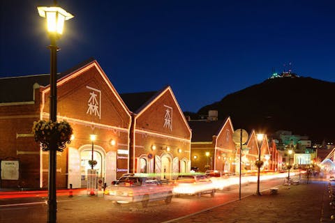 【函館・観光タクシー・3時間】リムジンでの贅沢な観光ツアー！名スポットを巡る・満喫コース