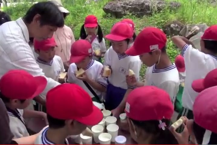 福井 勝山市 牧場体験 乳搾りとバター作りを楽しめる 牧場体験 アソビュー