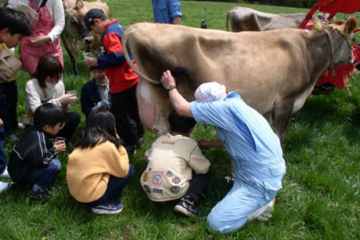 福井 勝山市 牧場体験 乳搾りとバター作りを楽しめる 牧場体験 アソビュー