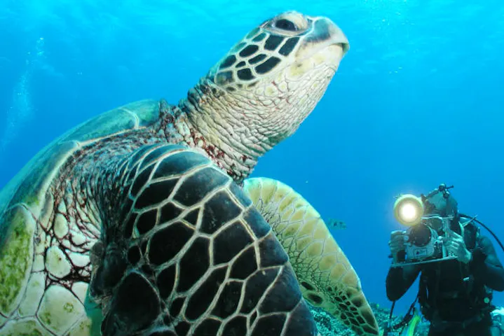 民宿 ダイブサービスぶるーまりん ネット予約ならアソビュー