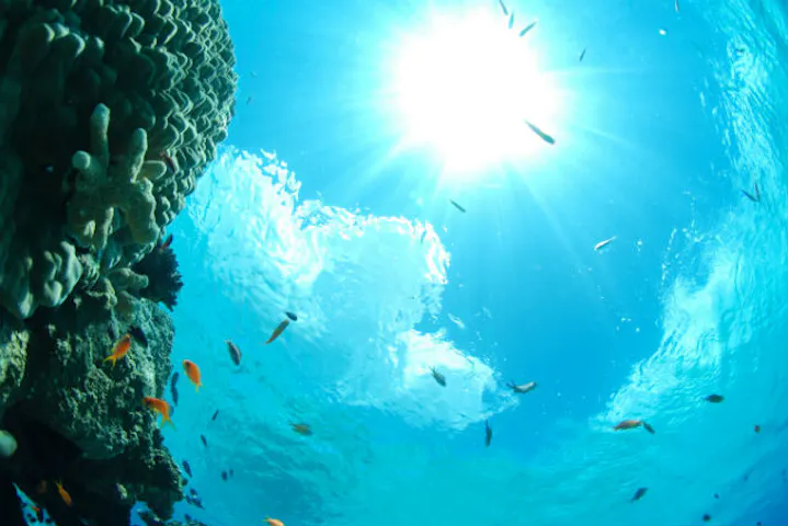 民宿 ダイブサービスぶるーまりん ネット予約ならアソビュー