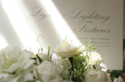 東京・青山・フラワーアレンジメント】フラワーアレンジメント・プリエ