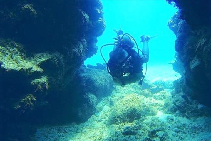 マリンカンパニー