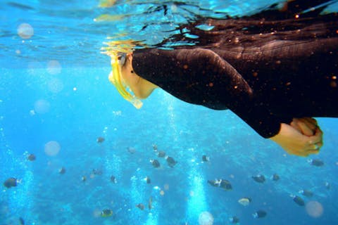 【沖縄県・体験ダイビング＆シュノーケル】海を遊びつくそう！セットプラン！（青の洞窟もしくは、砂辺ポイント開催）