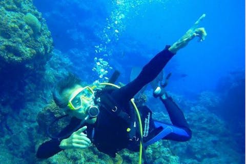 【沖縄県那覇市・ファンダイビング】船酔いの心配なし！ビーチファンダイブ2回プラン