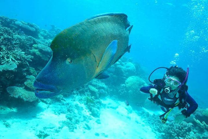 Rei Diving Club レイダイビングクラブ ネット予約ならアソビュー Rei Diving Club レイダイビングクラブ ネット予約ならアソビュー