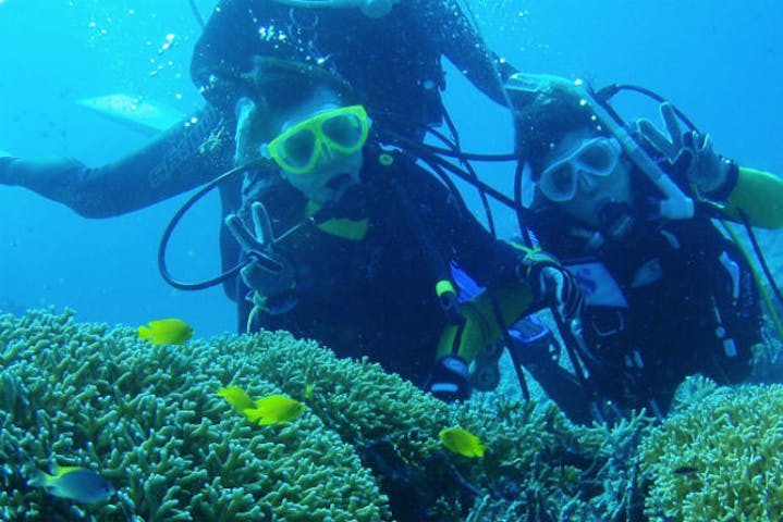 アリストダイバーズ賢島本店