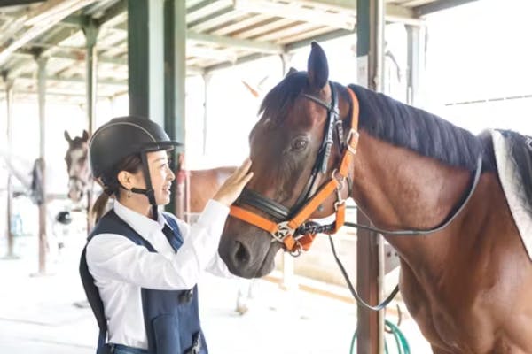 埼玉・乗馬】女性お1人様でのご参加のみ適用！お得なレディースプラン