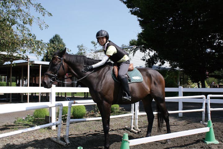 埼玉 乗馬 女性お1人様でのご参加のみ適用 お得なレディースプラン ドリンク付き アソビュー