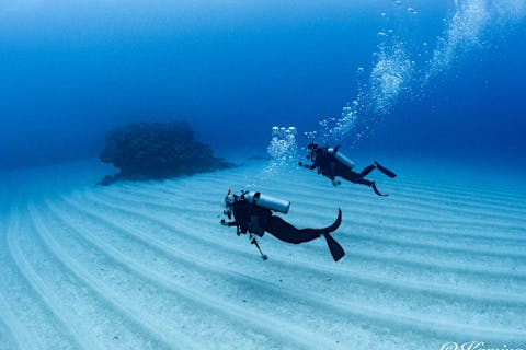 【最短2日】慶良間でボート講習！PADIオープンウォーター取得｜自社ボート＆写真無料