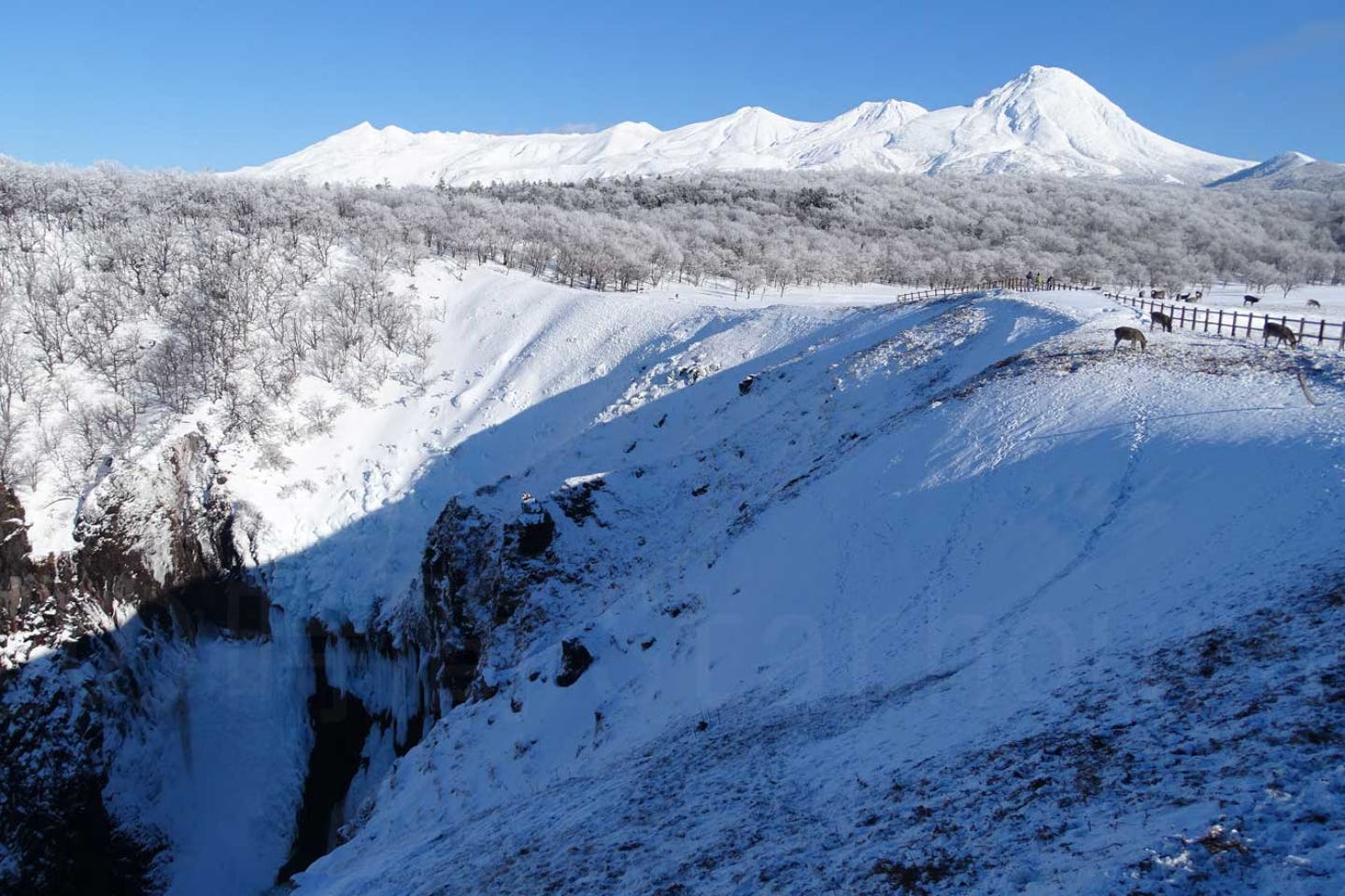 【知床・スノートレッキング】 お手軽な2km2時間コース 原生林と断崖の滝を目指す自然観察ツアー