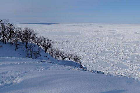 【知床・3時間スノートレッキング】3km ☆原生林と氷結の滝、知床岬に続く断崖眺望コース