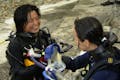 インストラクターが、マンツーマンで一緒に潜りますので、初心者も安心です。