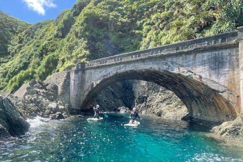 【沖縄北部・SUP】サーフィンより簡単！初めてのSUP体験（2時間）