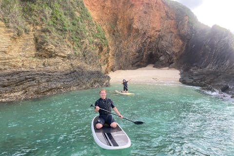 【沖縄北部・SUP】ウミガメとクマノミが棲む世界でSUP＆シュノーケリング体験！