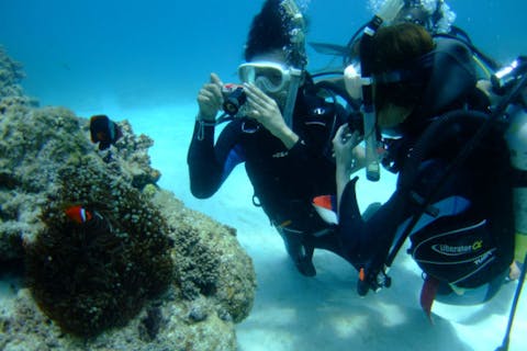 【沖縄・慶良間・体験ダイビング】観光プランに気軽にプラス！ケラマ・ダイビングツアー（那覇発・半日）