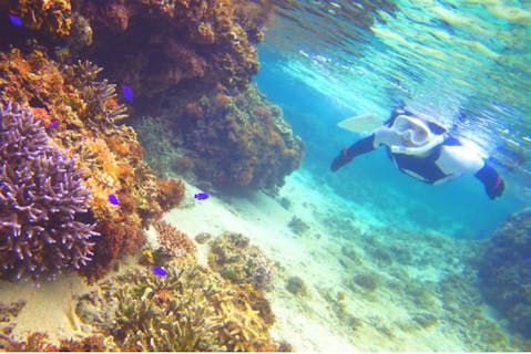 【石垣島・青の洞窟シュノーケリング】クリスタルブルーに包まれる浮遊感を味わおう（1組貸切）