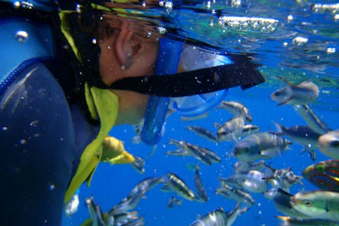 【沖縄本島・シュノーケリング】備瀬崎・本部周辺ビーチシュノーケリング