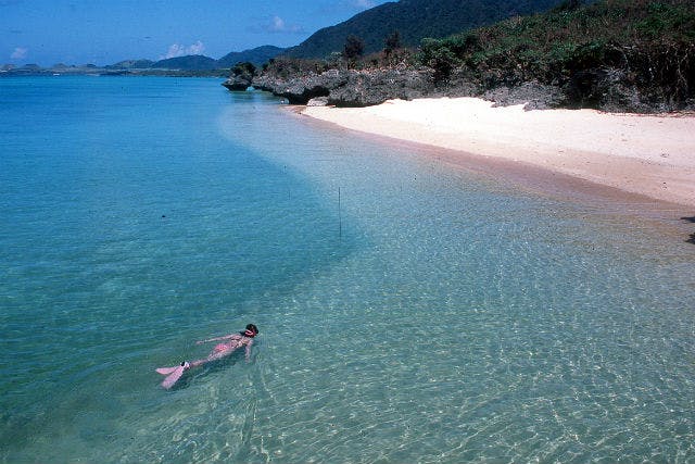 ヴァイス サンセットビーチ SR 4枚 石垣島サンセットビーチ｜ネット予約ならアソビュー！