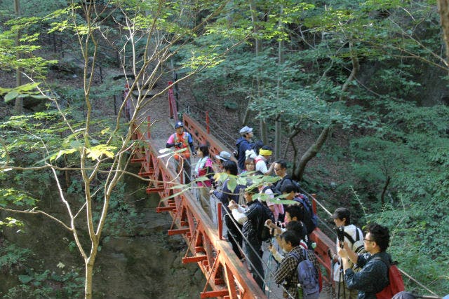 群馬県 ノルディックウォーク健脚コース たっぷり歩いて浅間を満喫しよう アソビュー