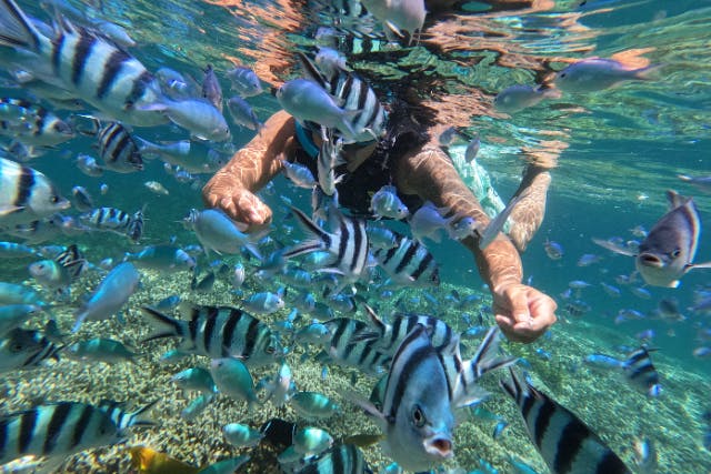 【浜比嘉島ムルク浜ビーチ】無人島沖のシュノーケルポイントへボートシュノーケリング♪