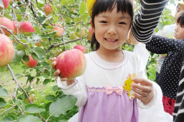 有機栽培や減農薬にこだわったりんごは、安全性もバッチリ。お子さまにも安心です。