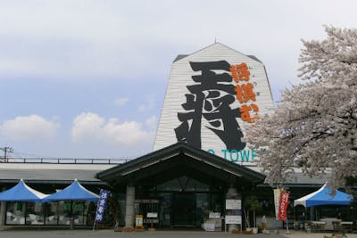 山形 染物体験 ハンカチを自由に染め上げよう 紅花染教室 アソビュー