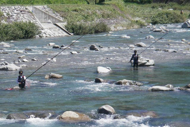 岐阜県下呂市 鮎釣り体験 全国1位の味わい 馬瀬川で鮎釣りを楽しもう アソビュー