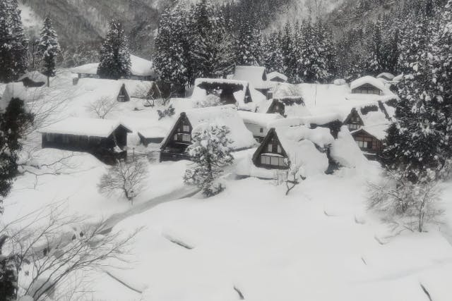 【金沢・日帰りバスツアー】世界遺産白川郷と五箇山の合掌造り巡り／添乗員同行・昼食付