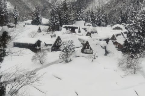 【金沢・日帰りバスツアー】世界遺産白川郷と五箇山の合掌造り巡り／添乗員同行・昼食付
