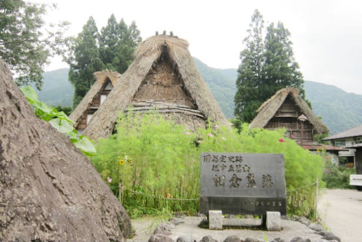 金沢 日帰りバスツアー 煎餅焼き体験付き 世界遺産白川郷と五箇山の合掌造り巡り アソビュー