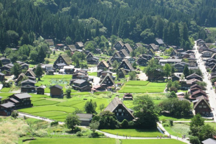 金沢 日帰りバスツアー 煎餅焼き体験付き 世界遺産白川郷と五箇山の合掌造り巡り アソビュー