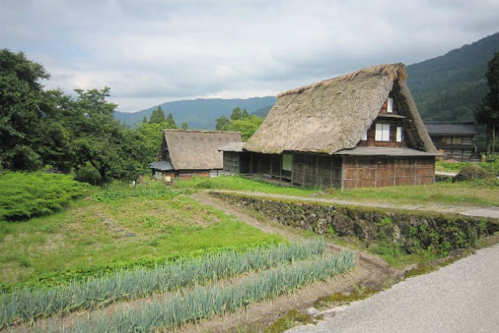 金沢 日帰りバスツアー 煎餅焼き体験付き 世界遺産白川郷と五箇山の合掌造り巡り 添乗員同行 昼食付 アソビュー