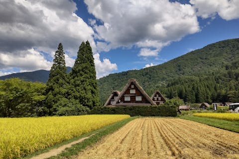 【金沢・日帰りバスツアー】週末限定！世界遺産「白川郷」への日帰りバスツアー／添乗員同行・昼食付