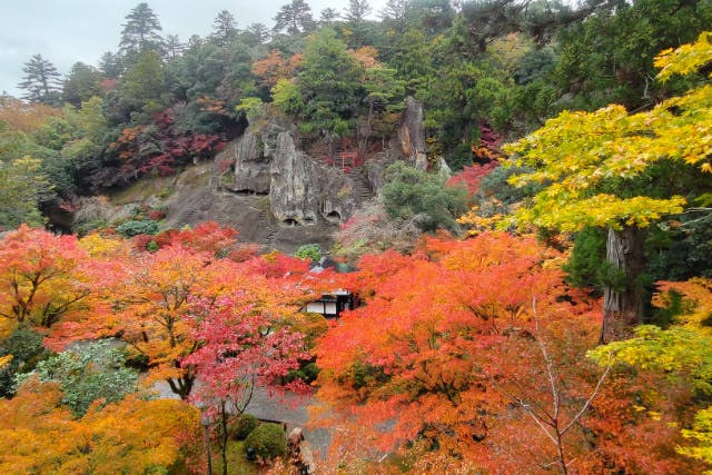 【金沢・日帰りバスツアー】神社と寺の聖地巡り！ 安宅住吉神社・那谷寺・白山比咩神社 日帰りバスツアー／添乗員同行・昼食付