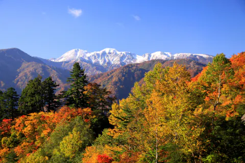 【秋限定！金沢・日帰りバスツアー】紅葉絶景ドライブ！白山白川郷ホワイトロードと発酵食の癒し旅＜昼食付・添乗員同行＞
