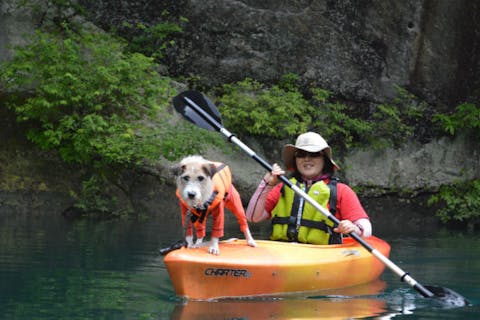 栃木 日光 カヤック 写真サービス付き 小型犬ok ワンちゃんと一緒にシングルカヤックツアー アソビュー