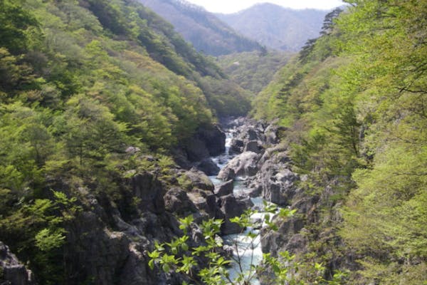 栃木 日光 ハイキング 龍王峡 川治温泉片道コースをめぐる 1日龍王峡ハイキング アソビュー