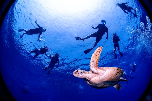 慶良間・クルージング・スノーケリングツアー】ケラマブルーを見に行