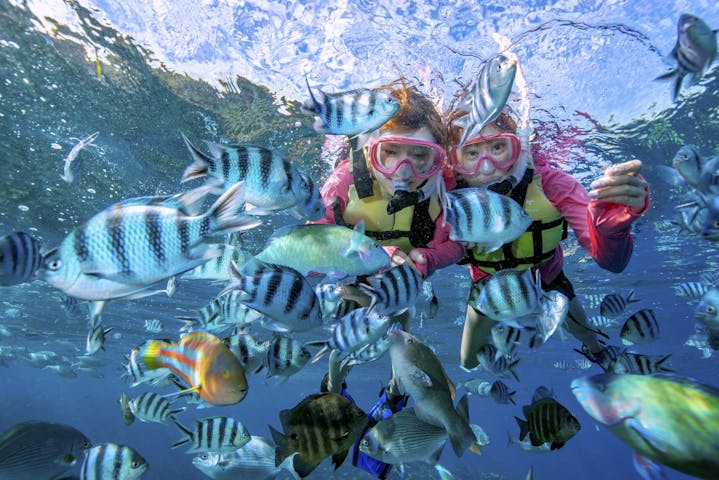 サマーリゾート沖縄